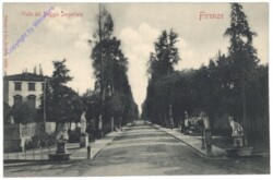 ak153698 Firenze (Florenz), Viale del Poggio Imperale