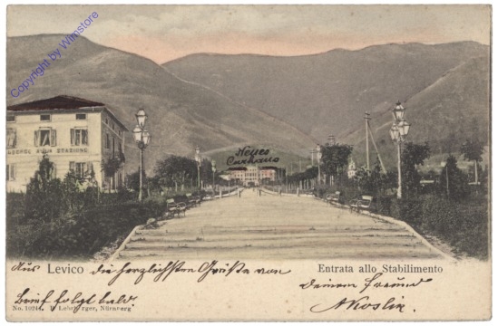 Levico Terme (Löweneck), Entrata allo Stabilimento