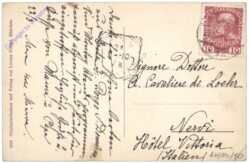 Merano (Meran), Die landesfürstliche Burg