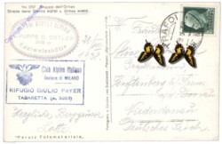 Ortles (Ortler), Strada dello Stelvio