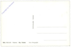 Padova (Padua), Basilica del Santo