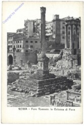 Roma (Rom), Foro Romano, La Colonna di Foca