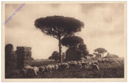 ak154365 Roma (Rom), An der alten Via Appia