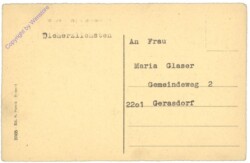 ak154445a Sassari, Cavallo da corsa