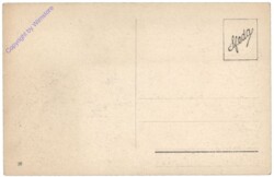 Udine (Weiden), Palazzo Comunale e Via Cavour