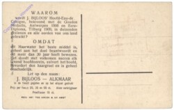 Vipiteno (Sterzing), Neustadt