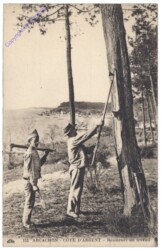 Arcachon, Cote d'Argent