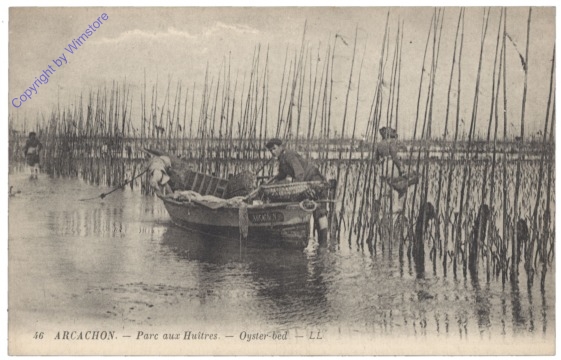 Arcachon, Parc aux Huitres, Oyster-bed