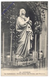 Avignon, La Cathedrale