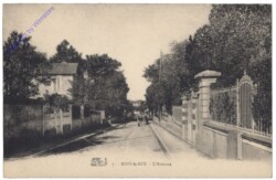 Bois-le-Roi, L'Avenue