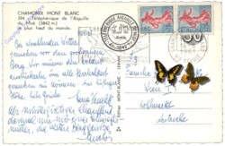 Chamonix-Mont-Blanc, Ansicht