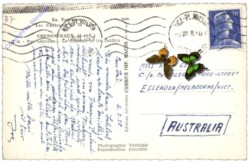 Chenonceaux, Le Chateau