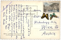 Lourdes, La Basilique