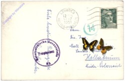 Lourdes, La Basilique