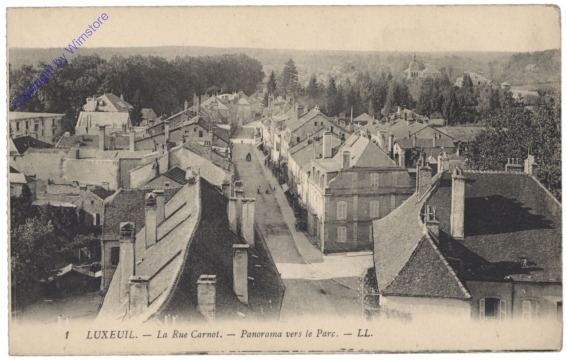 Luxeuil-les-Bains, La Rue Carnot