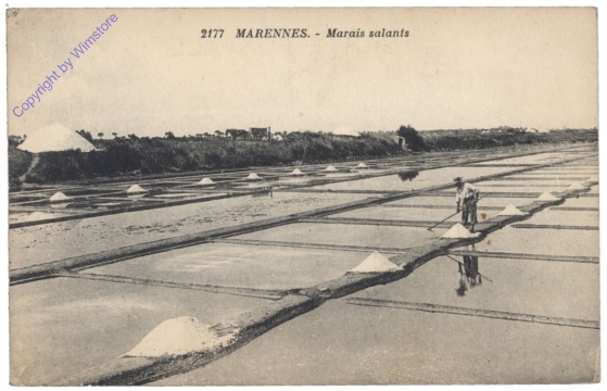 ak155719 Marennes, Marais salants