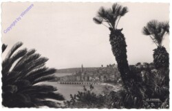 ak155812 Menton, La ville dans son cadre exotique