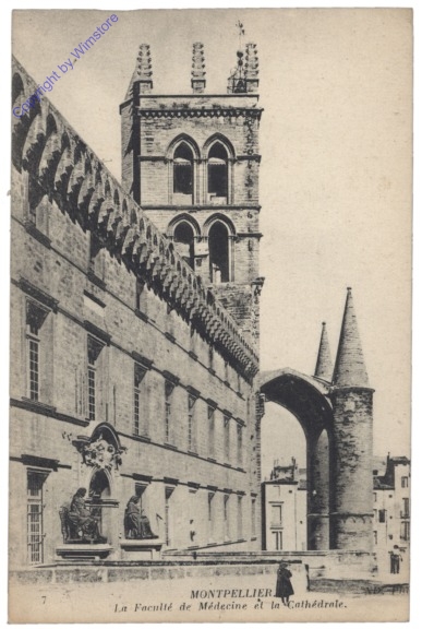 Montpellier, La Faculte de Medecine et la Cathedrale