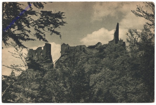 Niedersteinbach, Ruine Wasigenstein