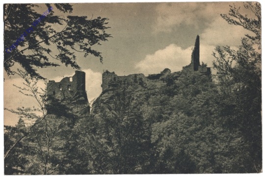 Niedersteinbach, Ruine Wasigenstein