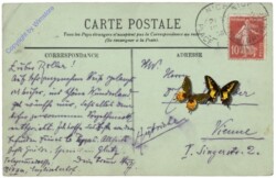 Nizza (Nice), Le Jardin Public