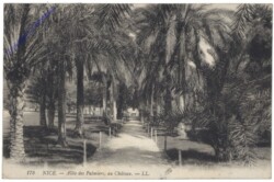 ak155978 Nizza (Nice), Allee des Palmiers