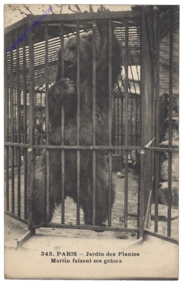 ak156227 Paris, Jardin des Plantes, Martin faisant ses graces