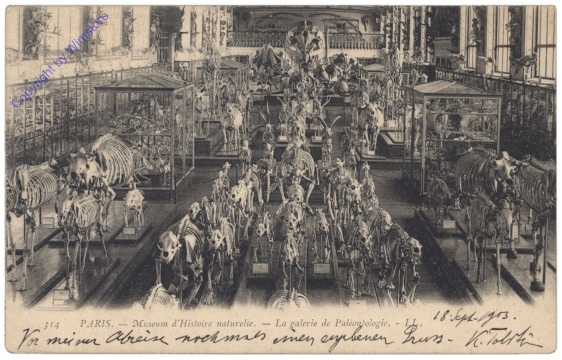 Paris, Museum d'Historie naturelle