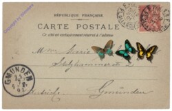 Paris, S'-Etienne du Mont