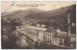 Saulxures-sur-Moselotte, Vue generale