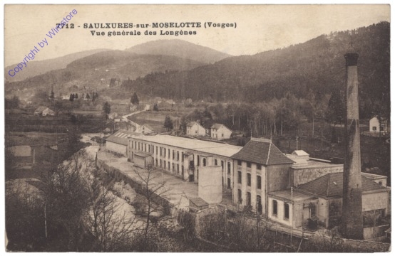 Saulxures-sur-Moselotte, Vue generale