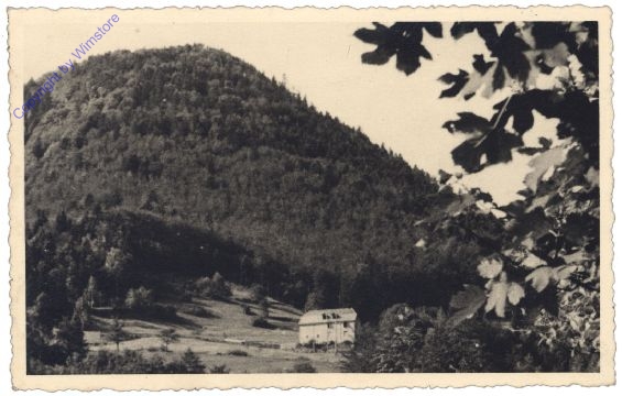 Wildenstein, Ansicht