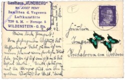 Wildenstein, Ansicht