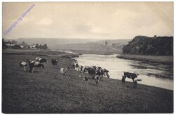 ak157018 Allgemein, Paysages choisis des Ardennes