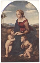 ak157416 La Vierge dite la Belle Jardiniere