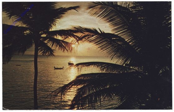 ak157527 Florida: Sunset