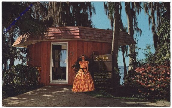 ak157528 Florida: Unique "Chatterbox" Telephone