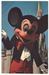 Florida: Disney World Florida