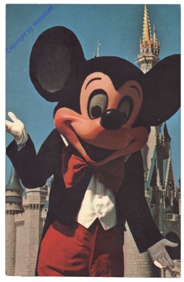 ak157529 Florida: Disney World Florida