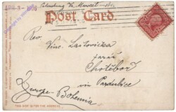 Florida: Alligator at Home