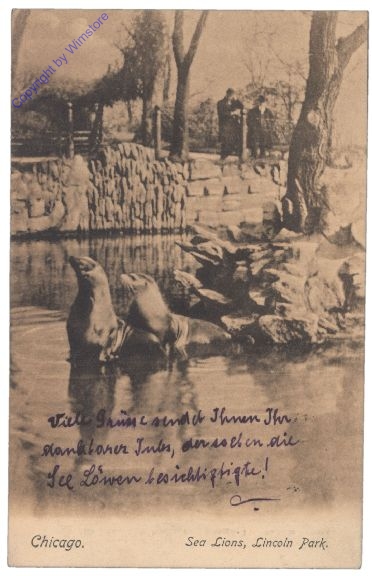 Illinois: Sea Lions, Lincoln Park, Chicago