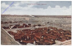ak157552 Illinois: Union Stock Yards, Chicago