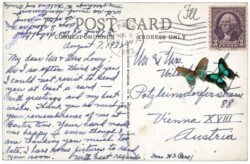 Illinois: A Night View from Lincoln Park, Chicago