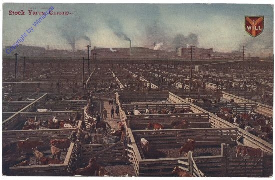 Illinois: Stock Yards, Chicago