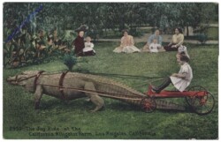 Kalifornien: California Alligator Farm, Los Angeles