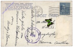 ak157598a Kalifornien: Yosemite National Park