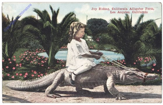 Kalifornien: Alligator Farm, Los Angeles