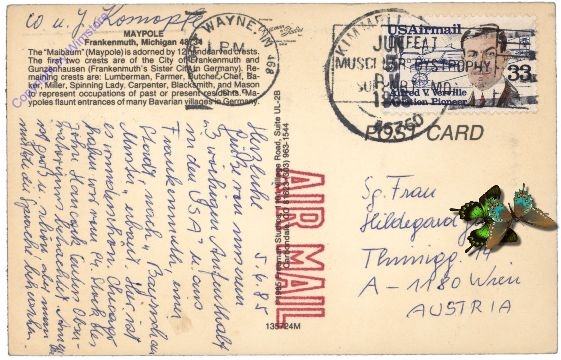 ak157631a Michigan: Maypole, Frankenmuth