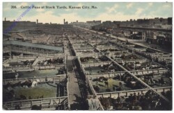 Missouri: Cattle Pens at Stock Yards, Kansas City