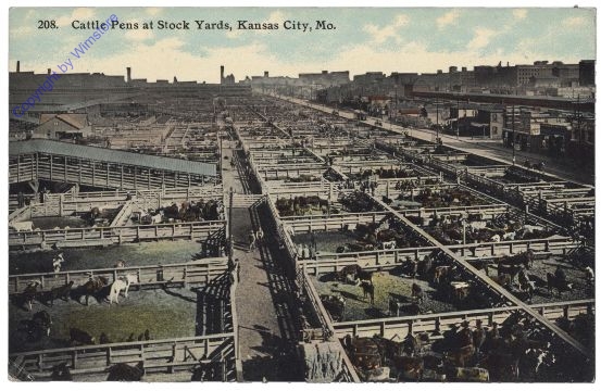 Missouri: Cattle Pens at Stock Yards, Kansas City